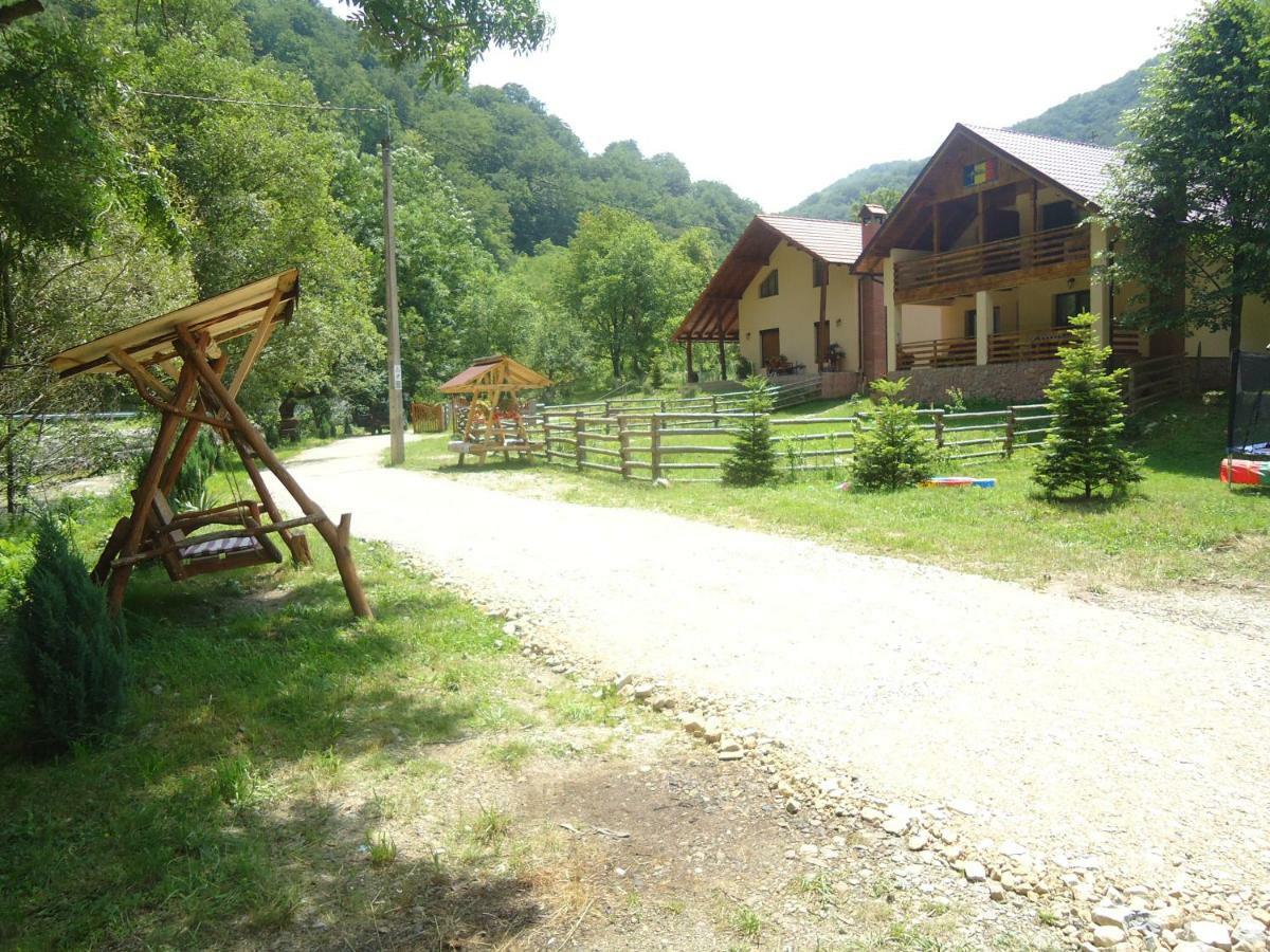 Pensiunea Lupul Dacic Costesti  Exterior photo
