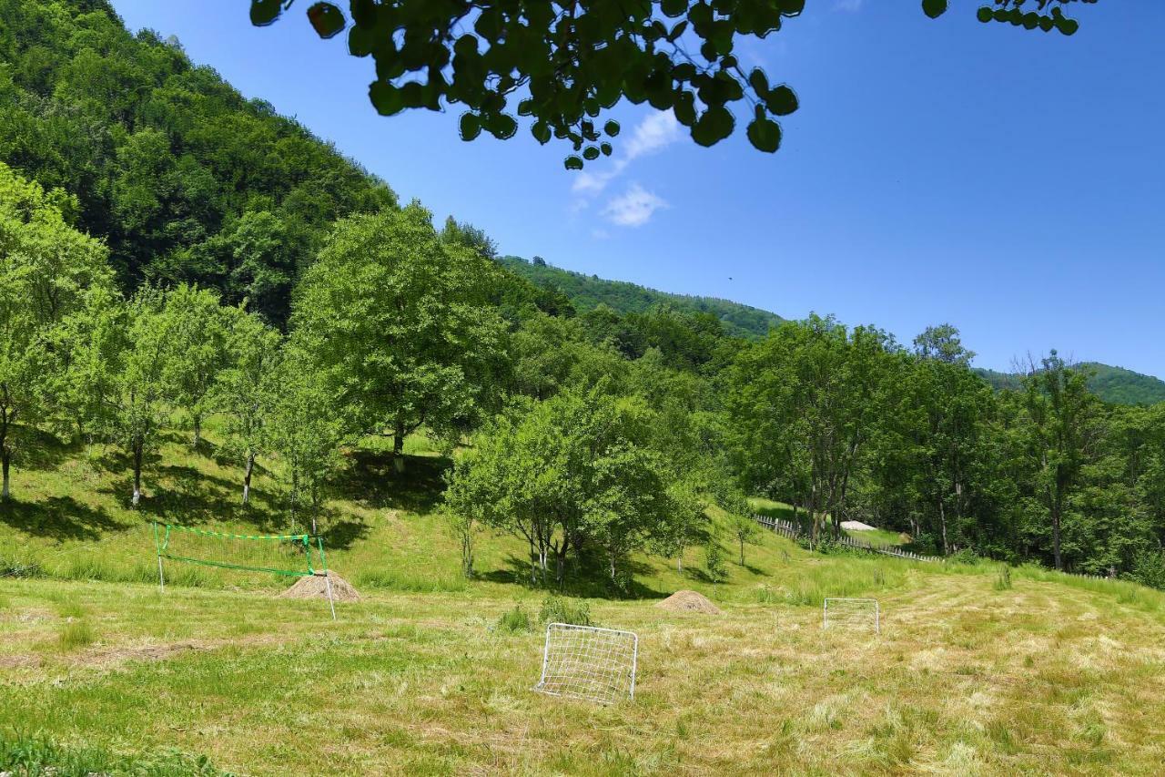 Pensiunea Lupul Dacic Costesti  Exterior photo