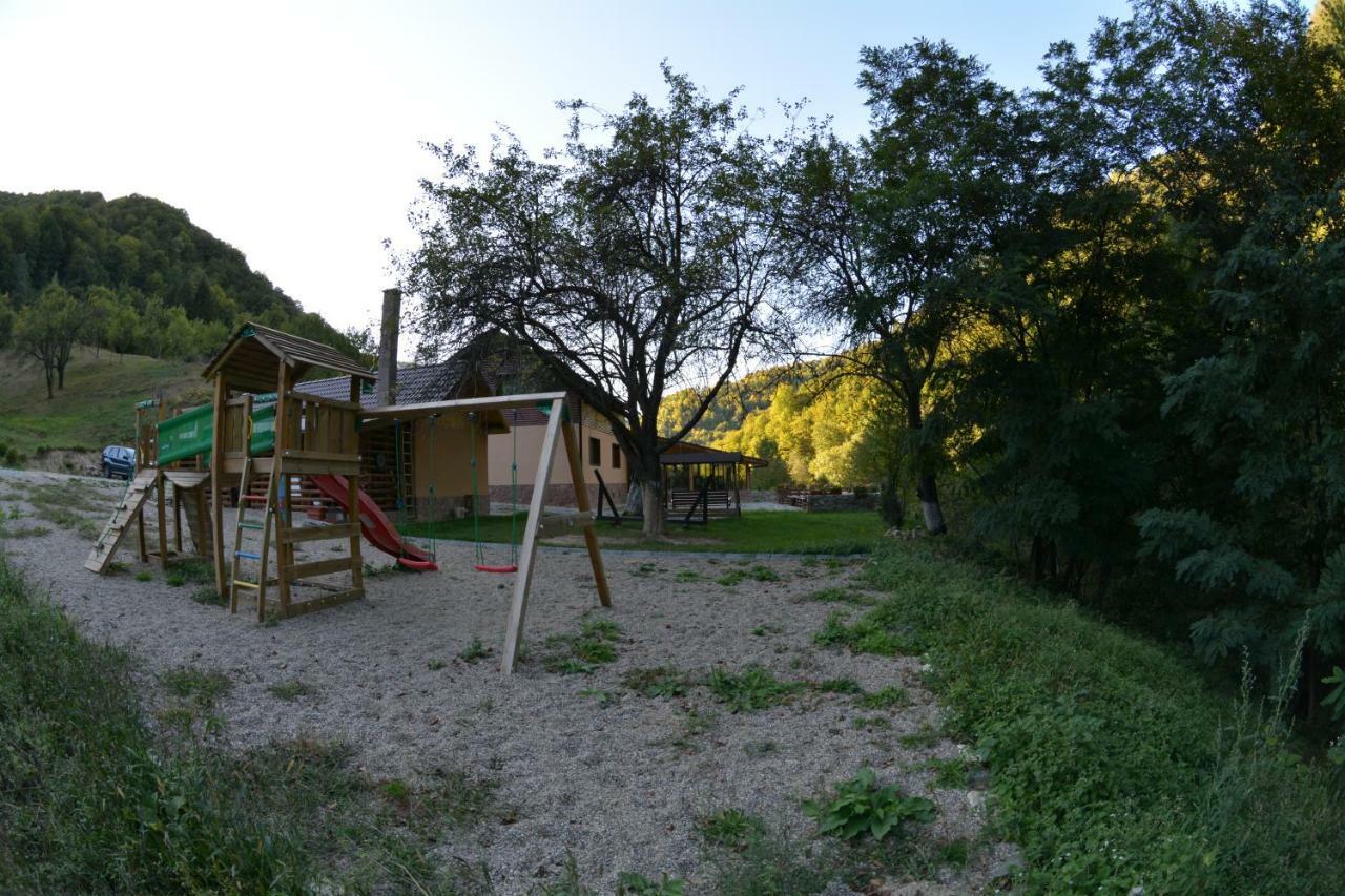 Pensiunea Lupul Dacic Costesti  Exterior photo