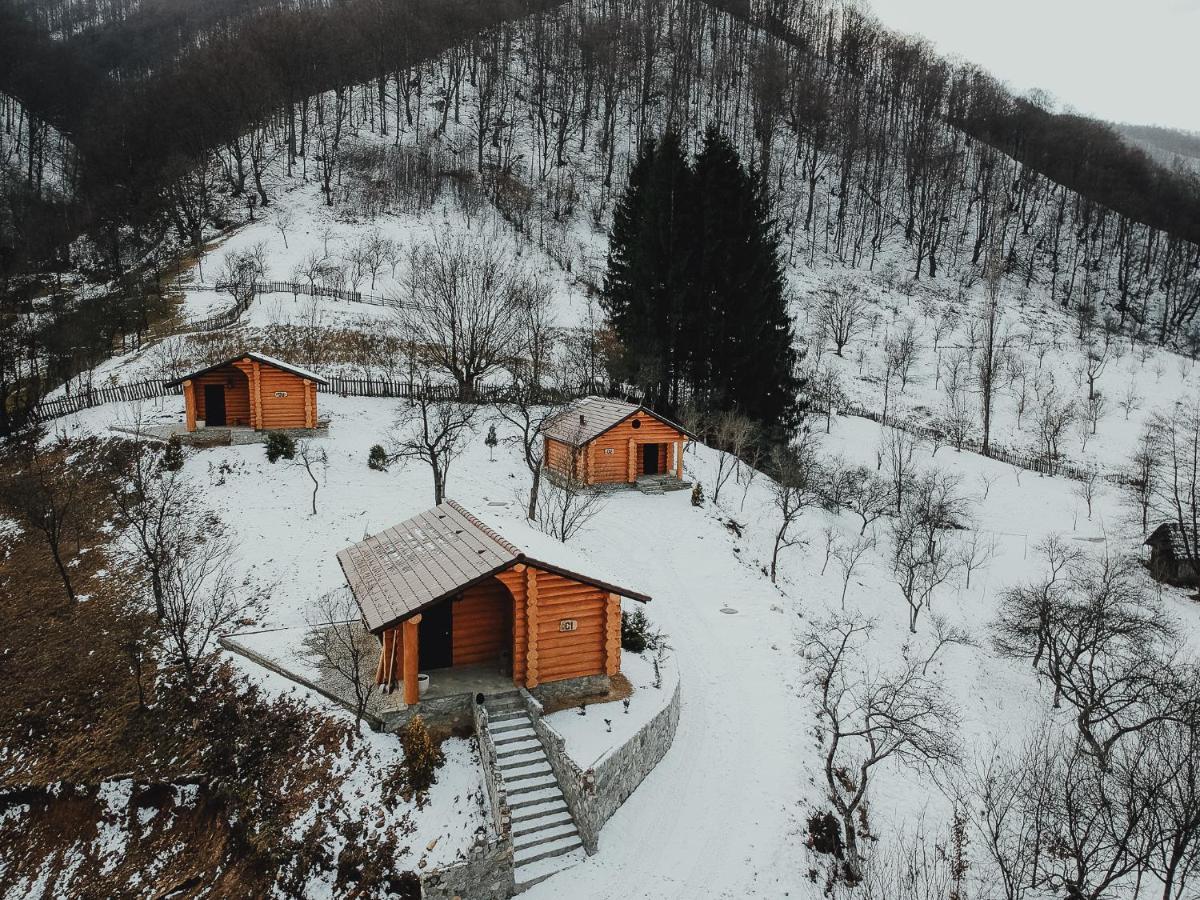 Pensiunea Lupul Dacic Costesti  Exterior photo